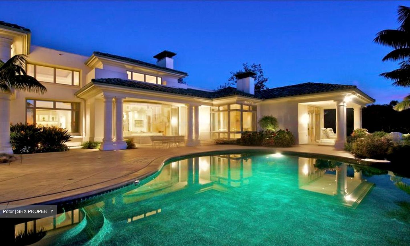 Raffles Park (D11), Detached #468796391